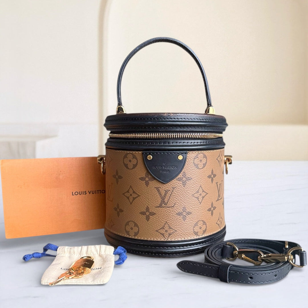 Louise Vuitton Cannes Monogram Reverse Handbag