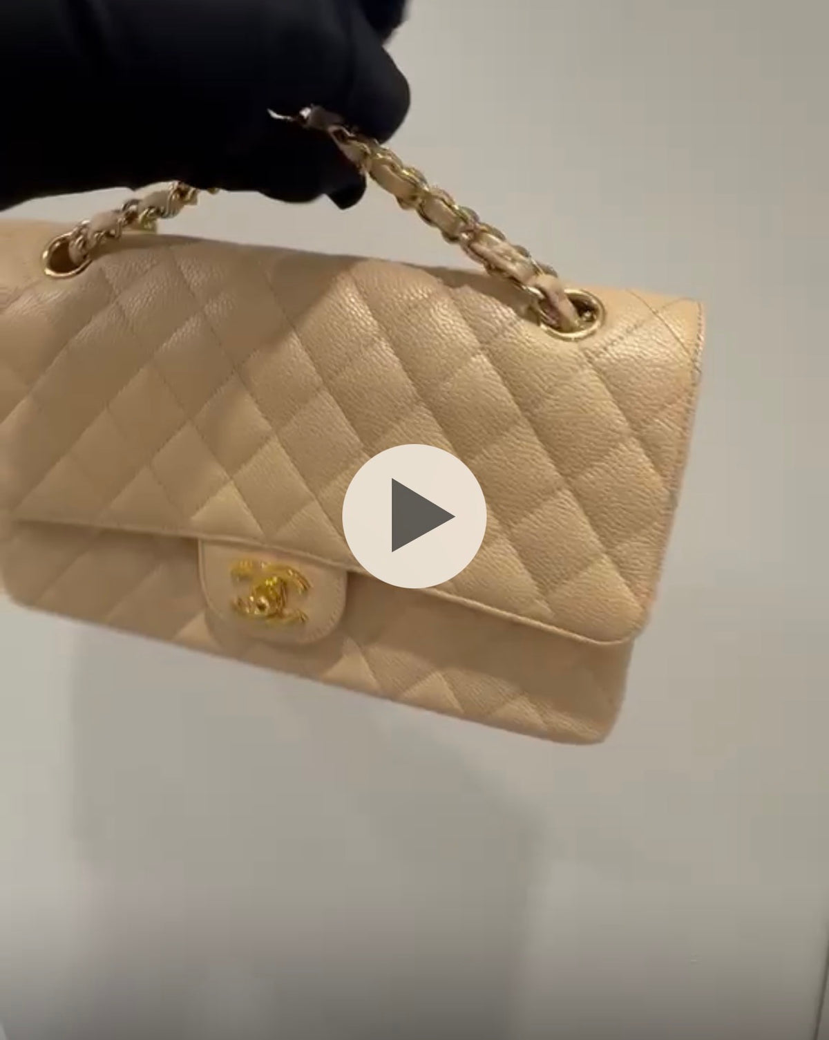 Six bags payment link