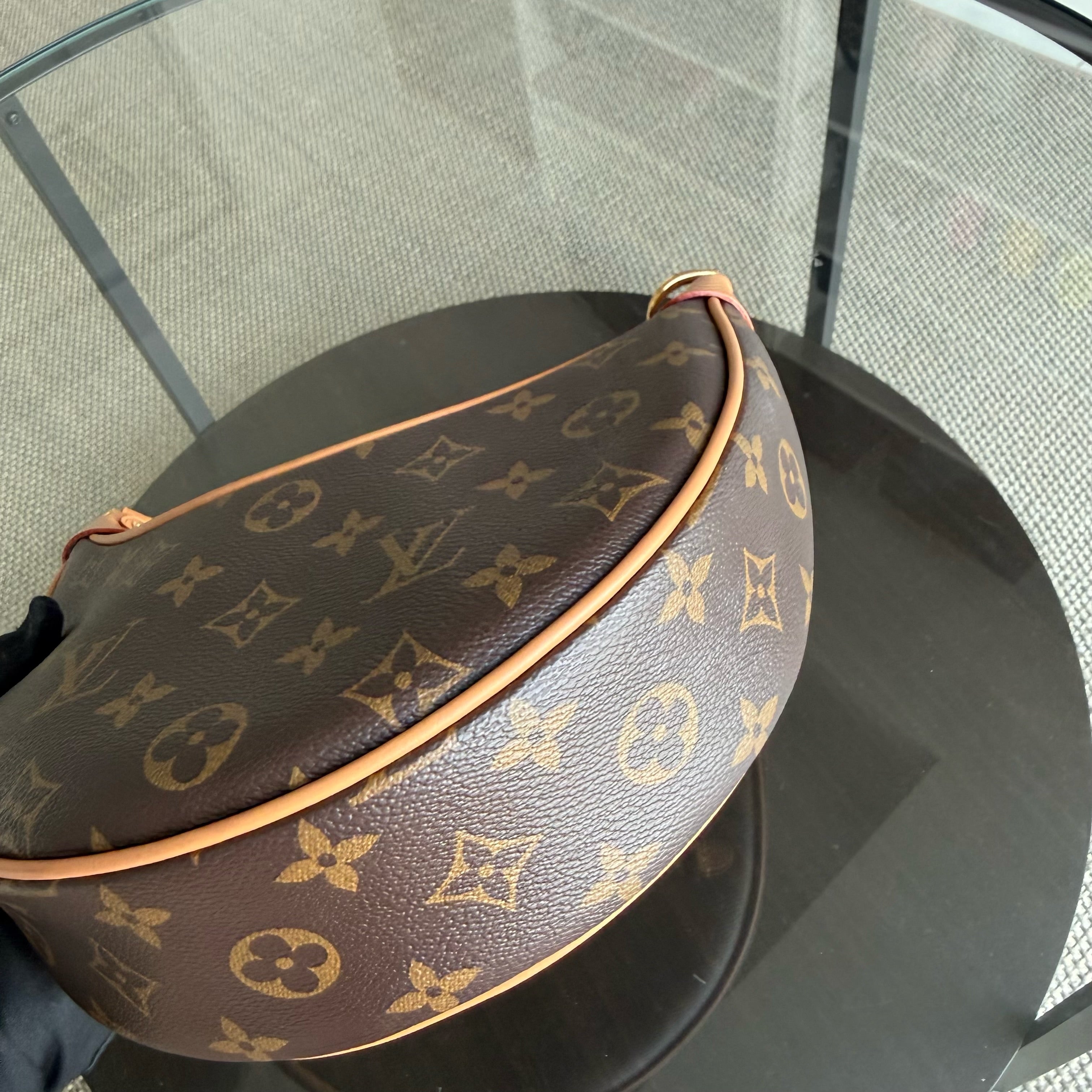 Louise Vuitton Loop Bag Monogram