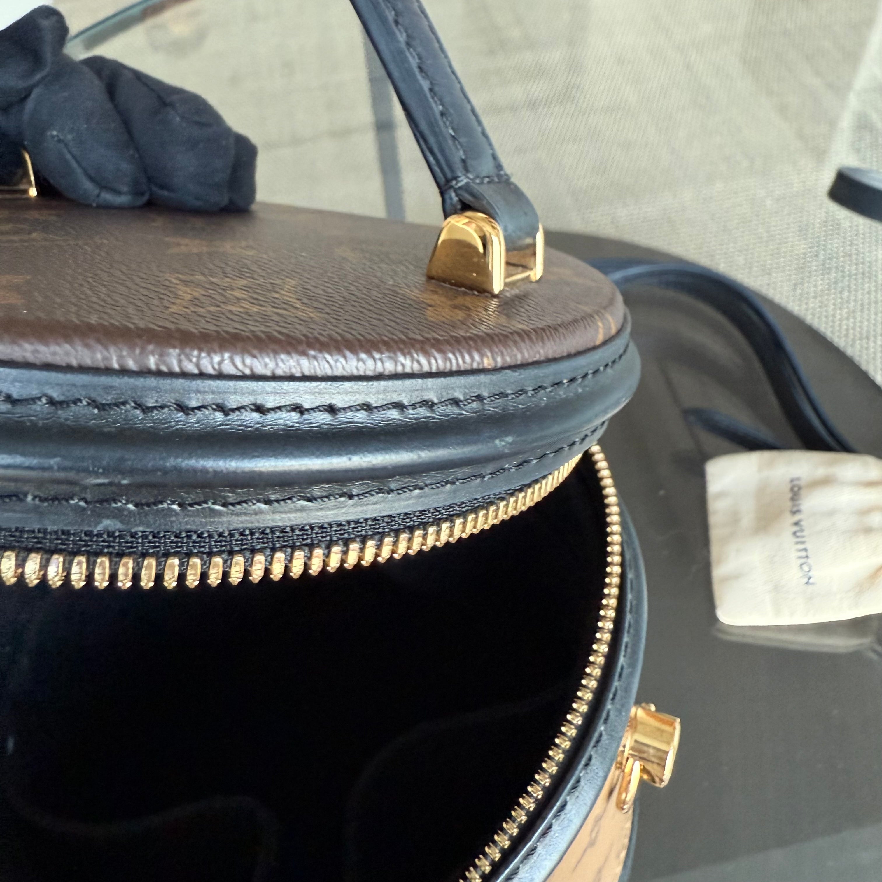 Louise Vuitton Cannes Monogram Reverse Handbag