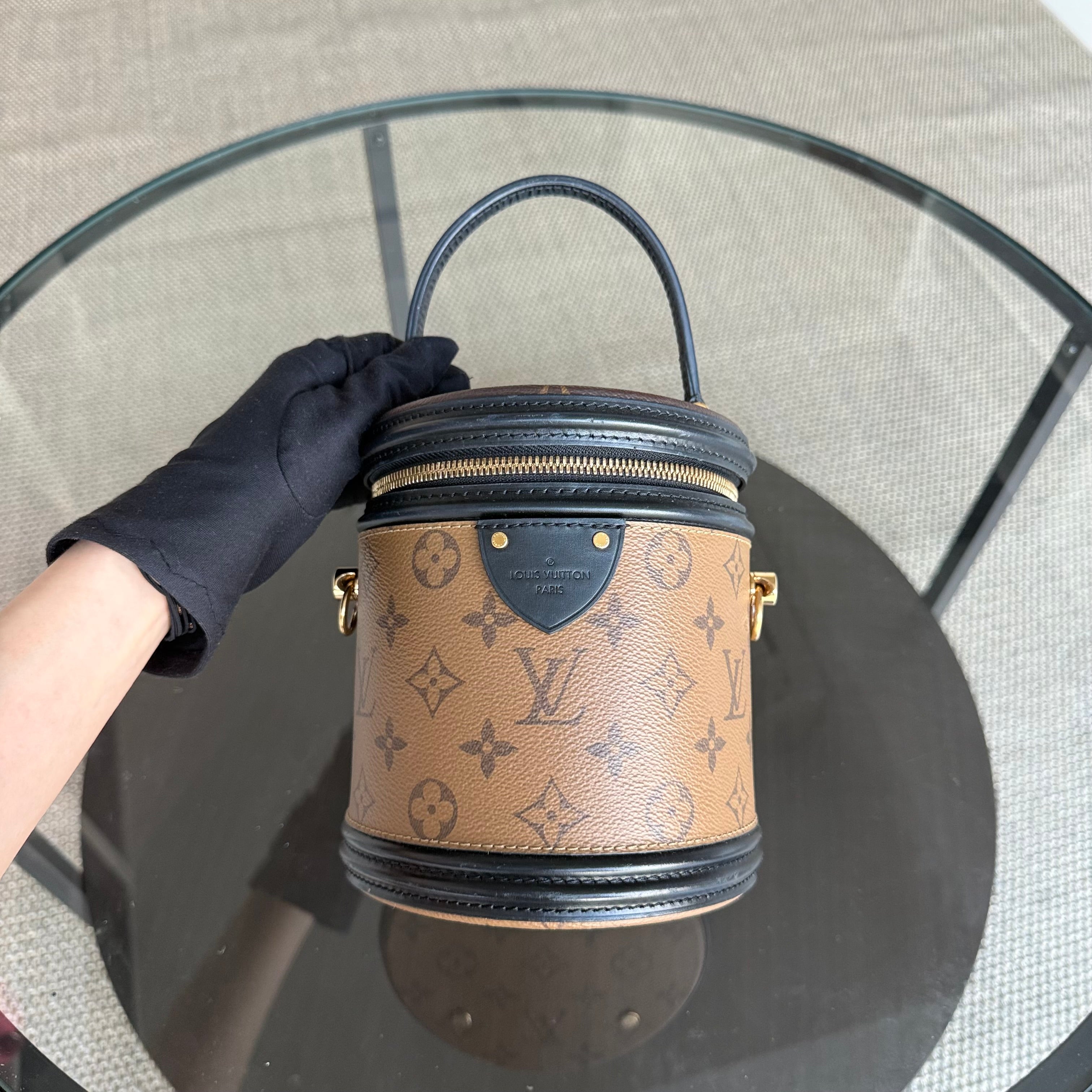 Louise Vuitton Cannes Monogram Reverse Handbag
