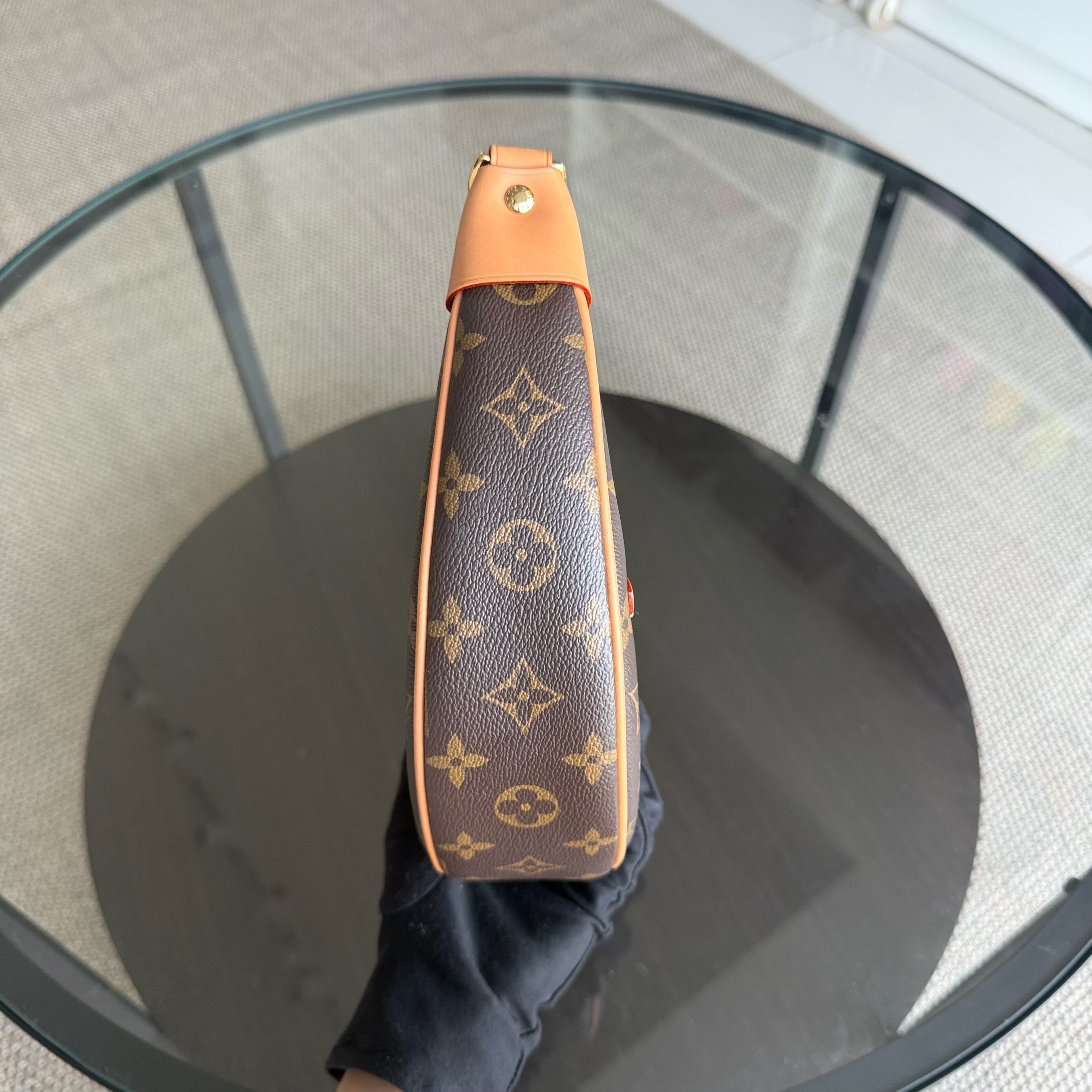 Louise Vuitton Loop Bag Monogram
