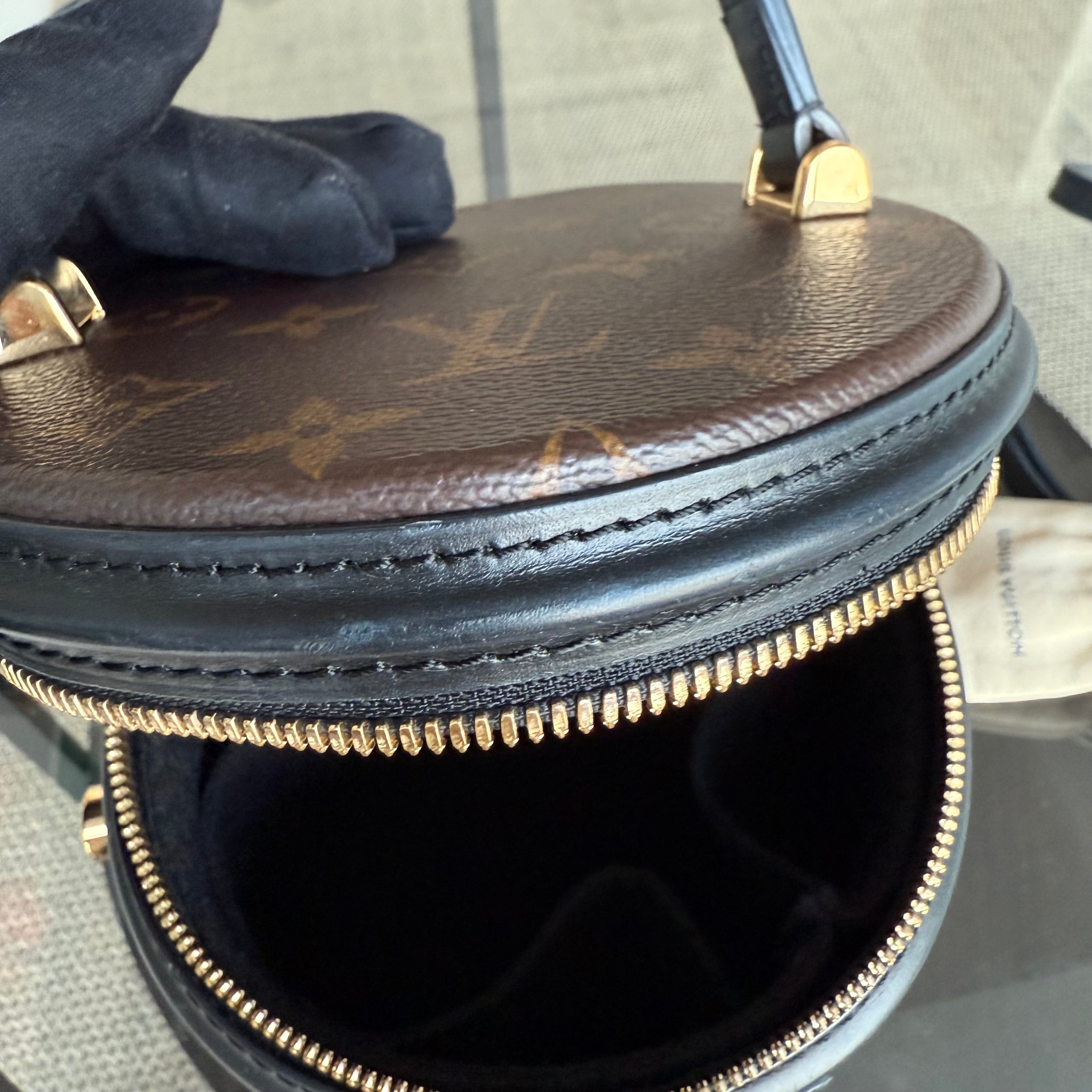 Louise Vuitton Cannes Monogram Reverse Handbag