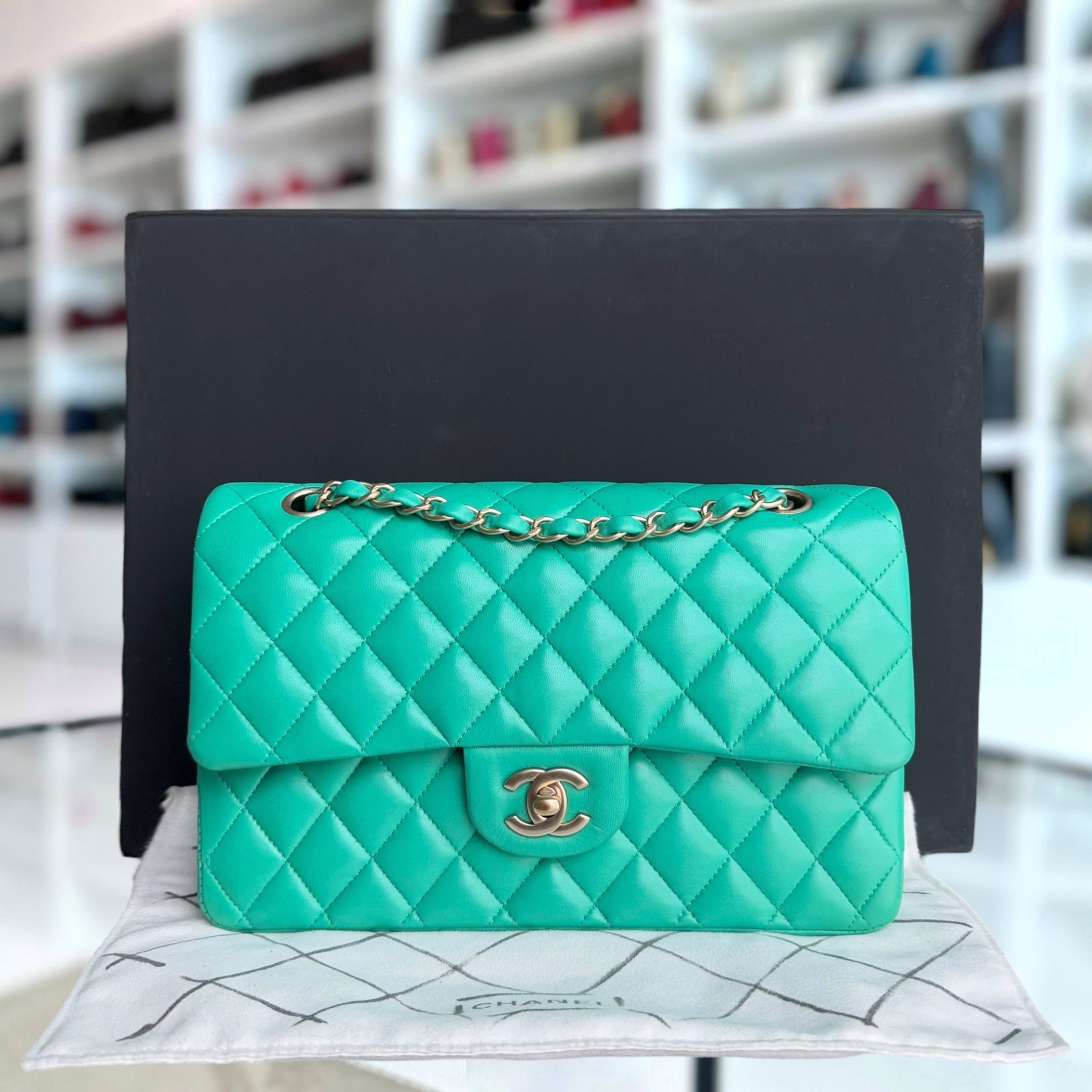 Chanel Classic Flap Medium - Quilted Lambskin Green Blue Gold Hardware Series 18