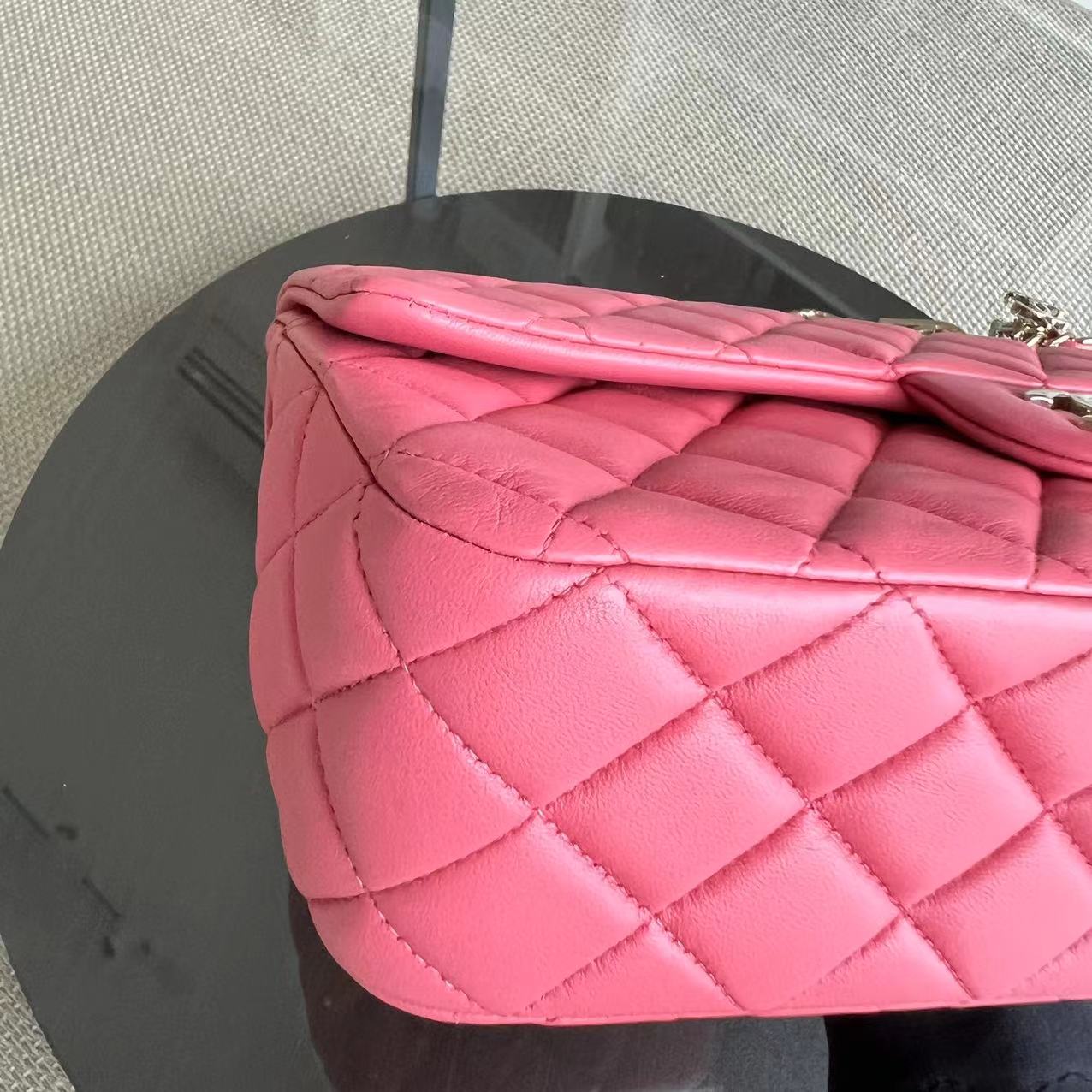 Chanel Classic Flap Medium - Vanitine Single Flap Quilted Lambskin Sakura Pink Golden Hardware Seires 19