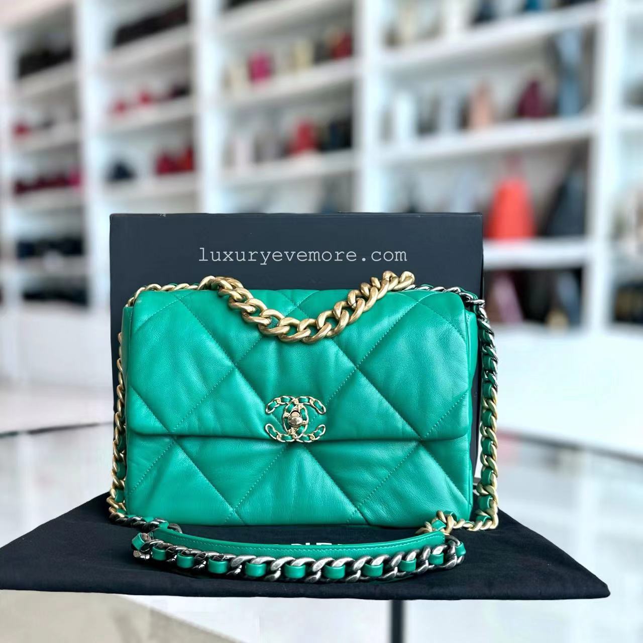 Chanel C19 Medium 19 Bag Quilted Goatskin Green Two-Tone Hardware Series 30 - Luxury Evermore