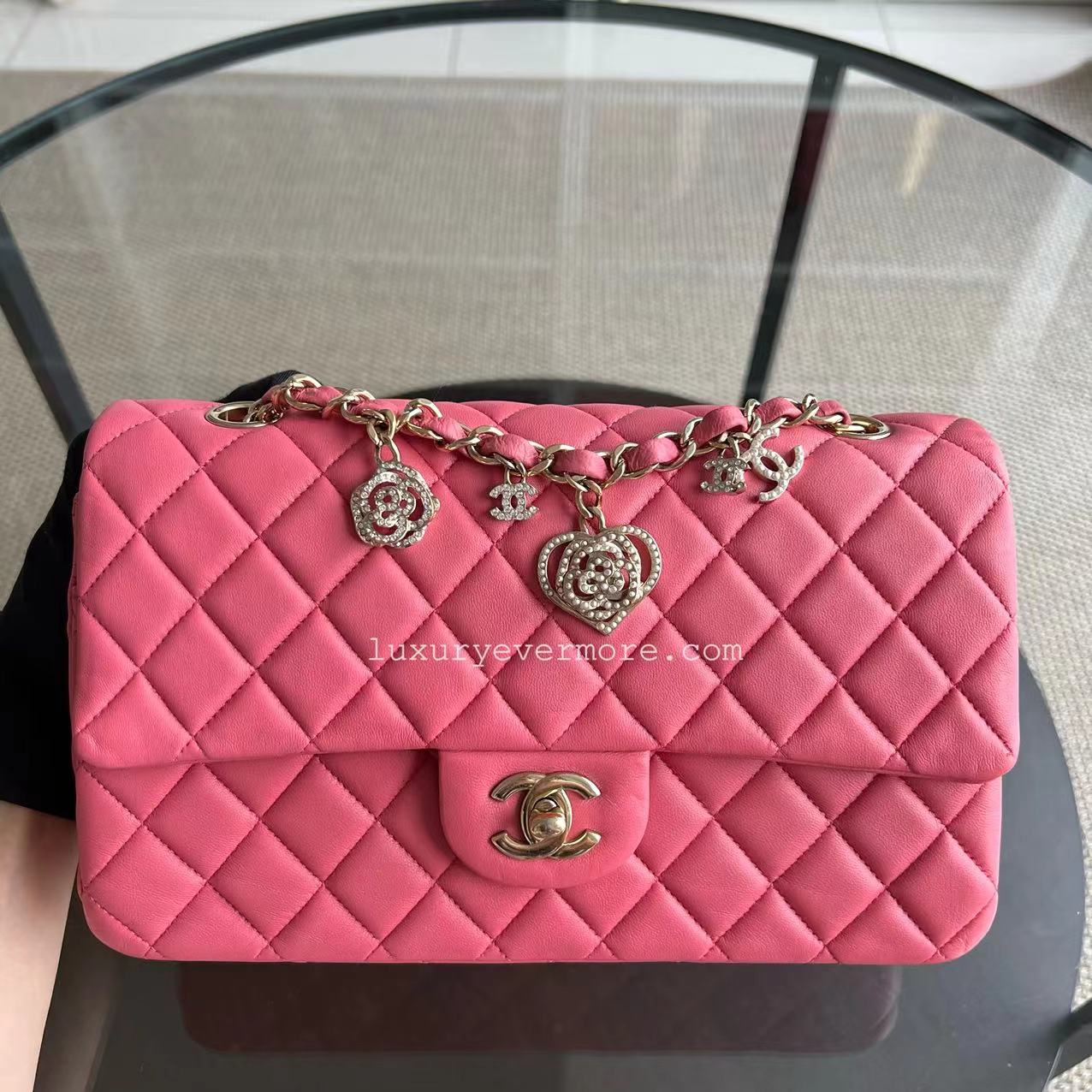 Chanel Classic Flap Medium - Vanitine Single Flap Quilted Lambskin Sakura Pink Golden Hardware Seires 19