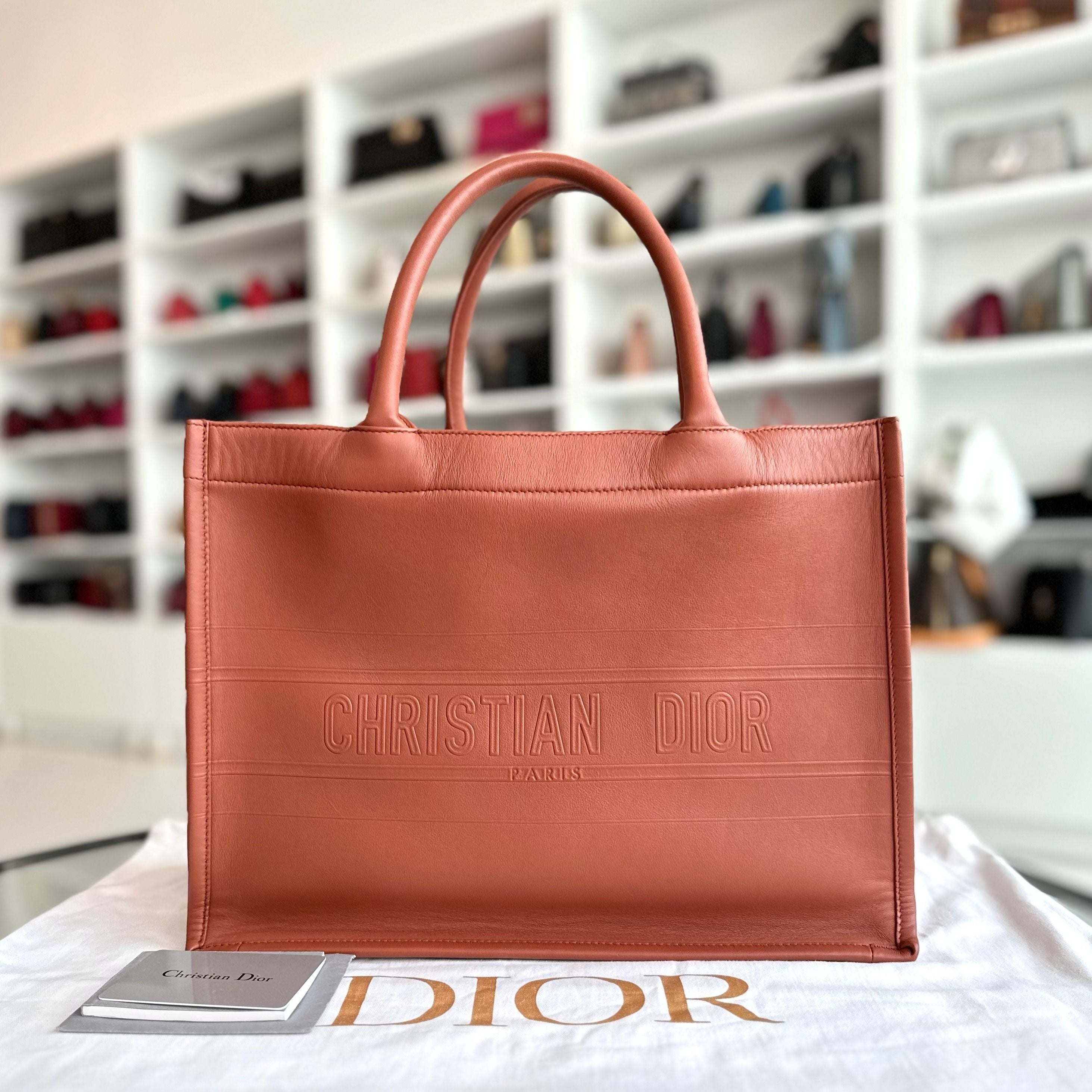 Dior Book Tote Medium Smooth Calfskin Brown Top Handle Bag - Luxury Evermore