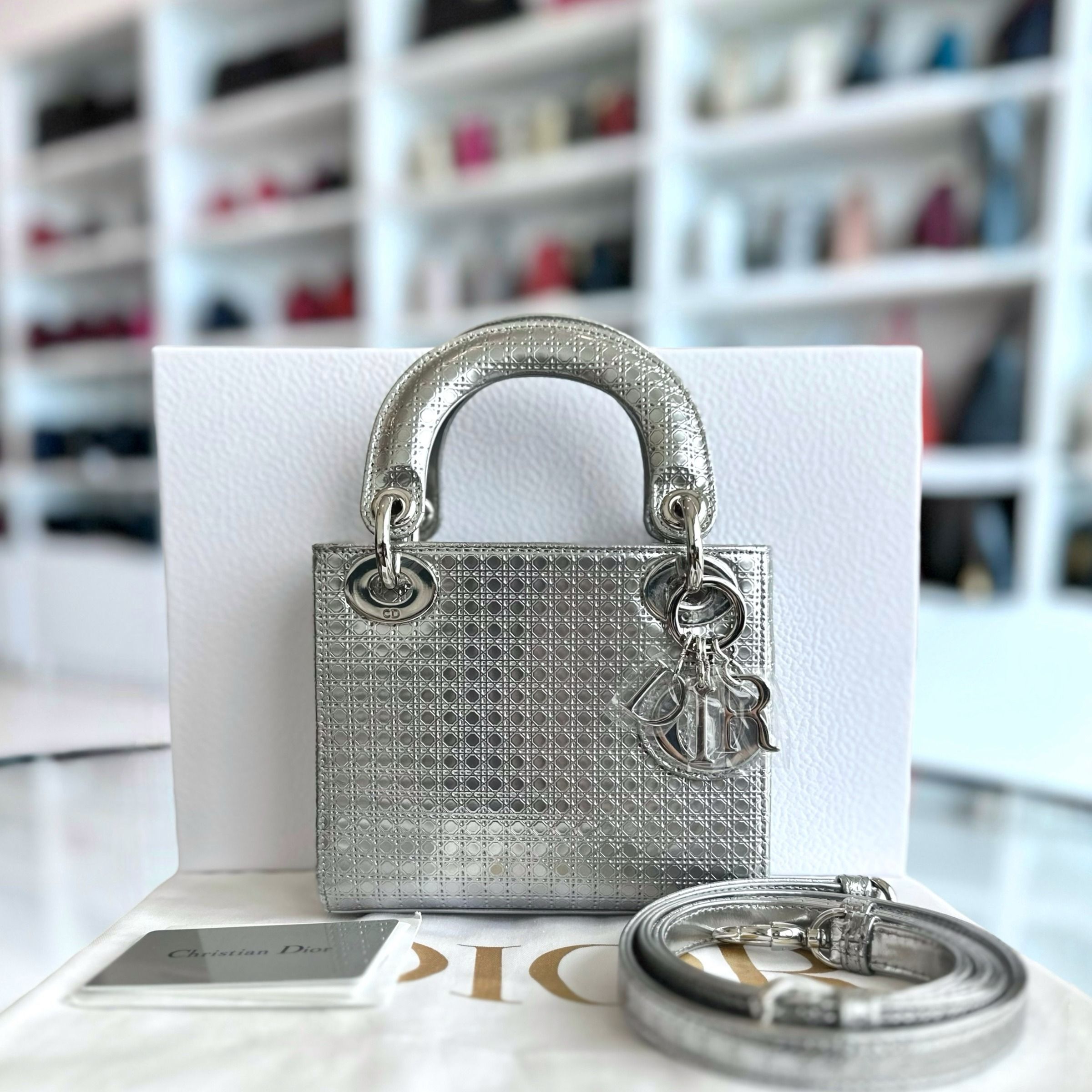 Dior Lady Mini Micro-Cannage Silver Limited Edition SHW - Luxury Evermore