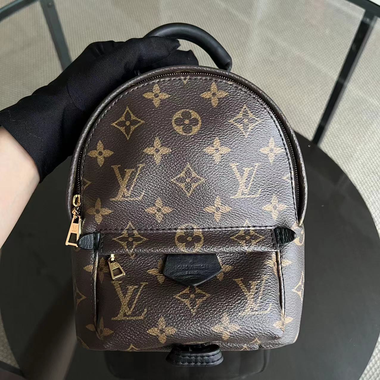 Louis Vuitton Palm Spring Mini - Canvas Monogram Backpack