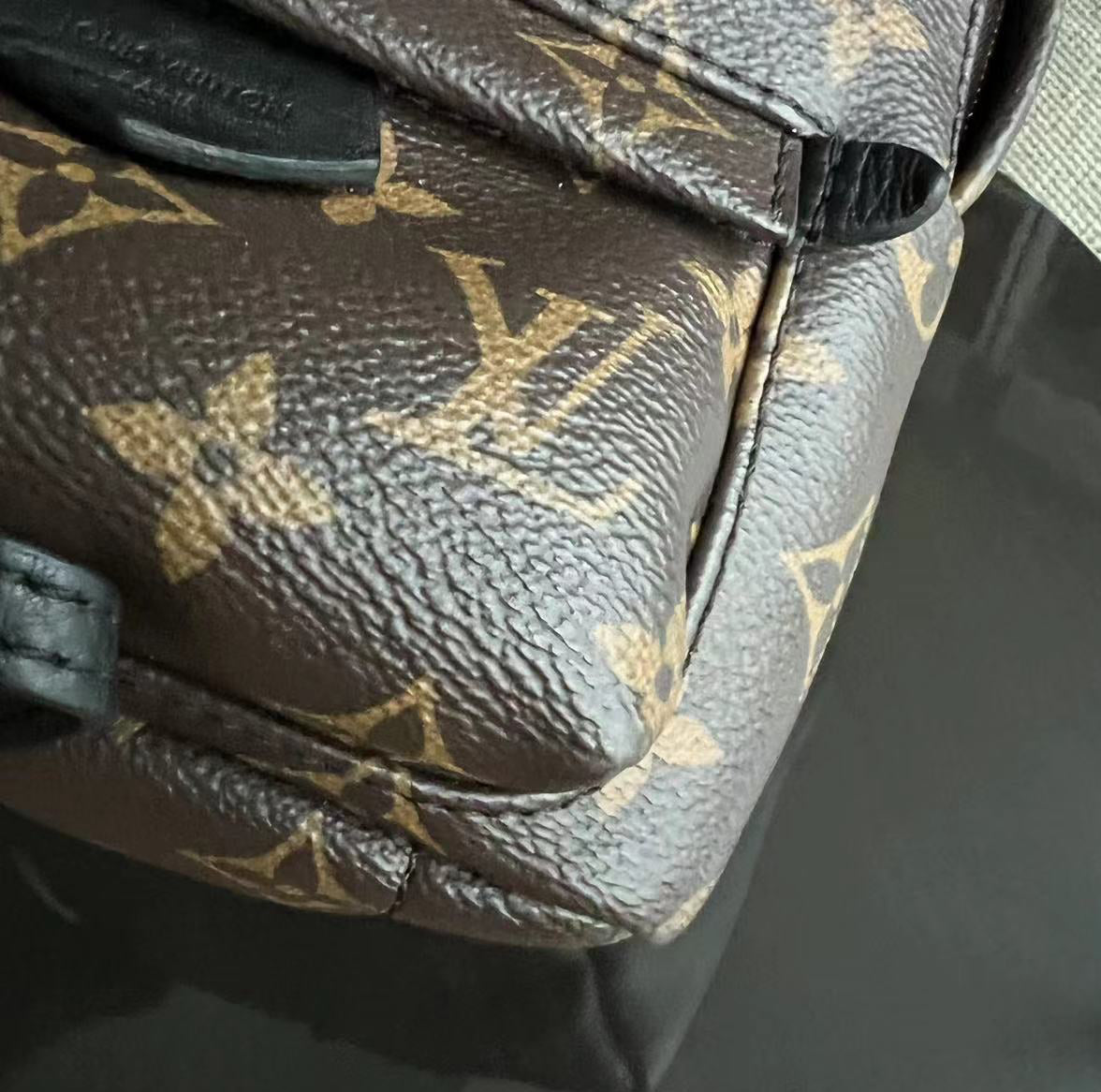 Louis Vuitton Palm Spring Mini - Canvas Monogram Backpack