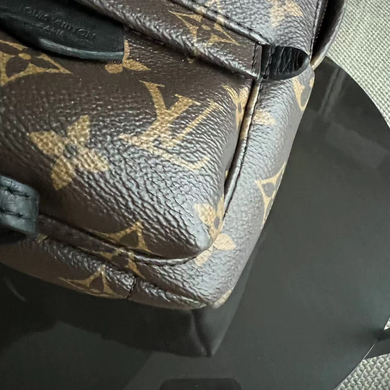 Louis Vuitton Palm Spring Mini - Canvas Monogram Backpack