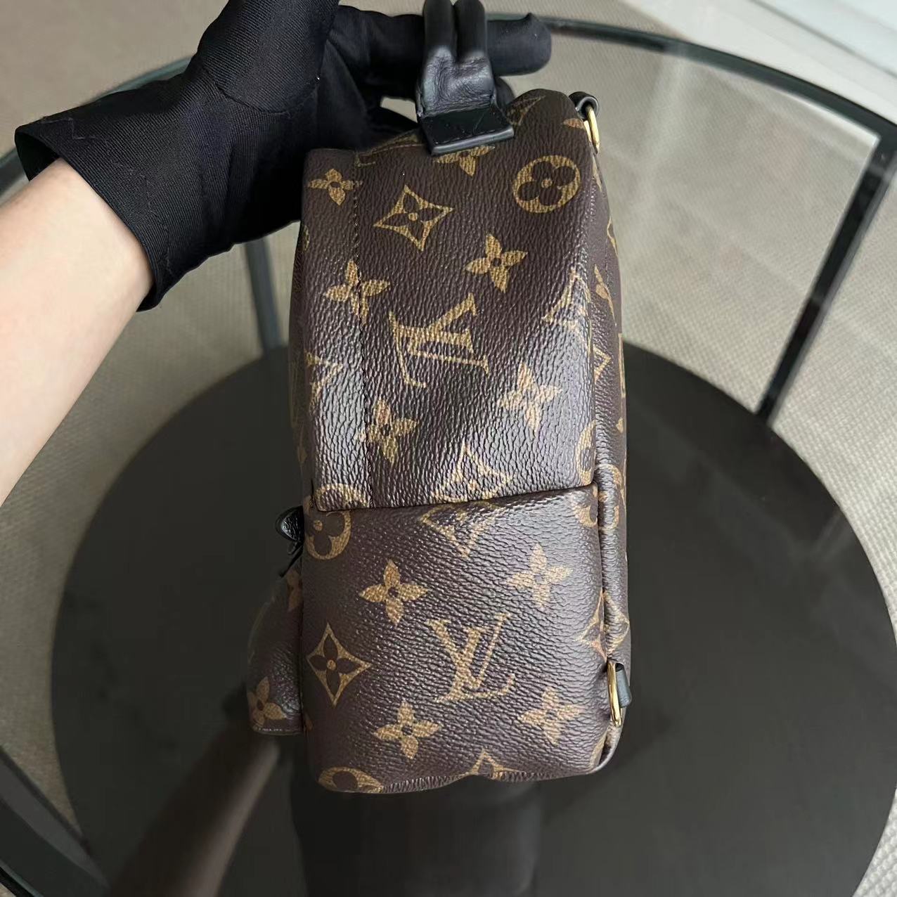 Louis Vuitton Palm Spring Mini - Canvas Monogram Backpack