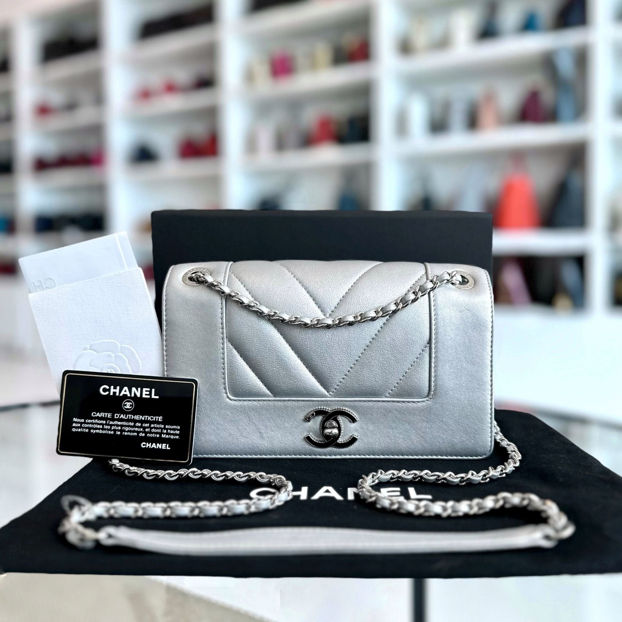 *Full Set, Receipt* Chanel Mademoiselle Small Seasonal Double Flap Calfskin Quilted Silver No 24 - Luxury Evermore