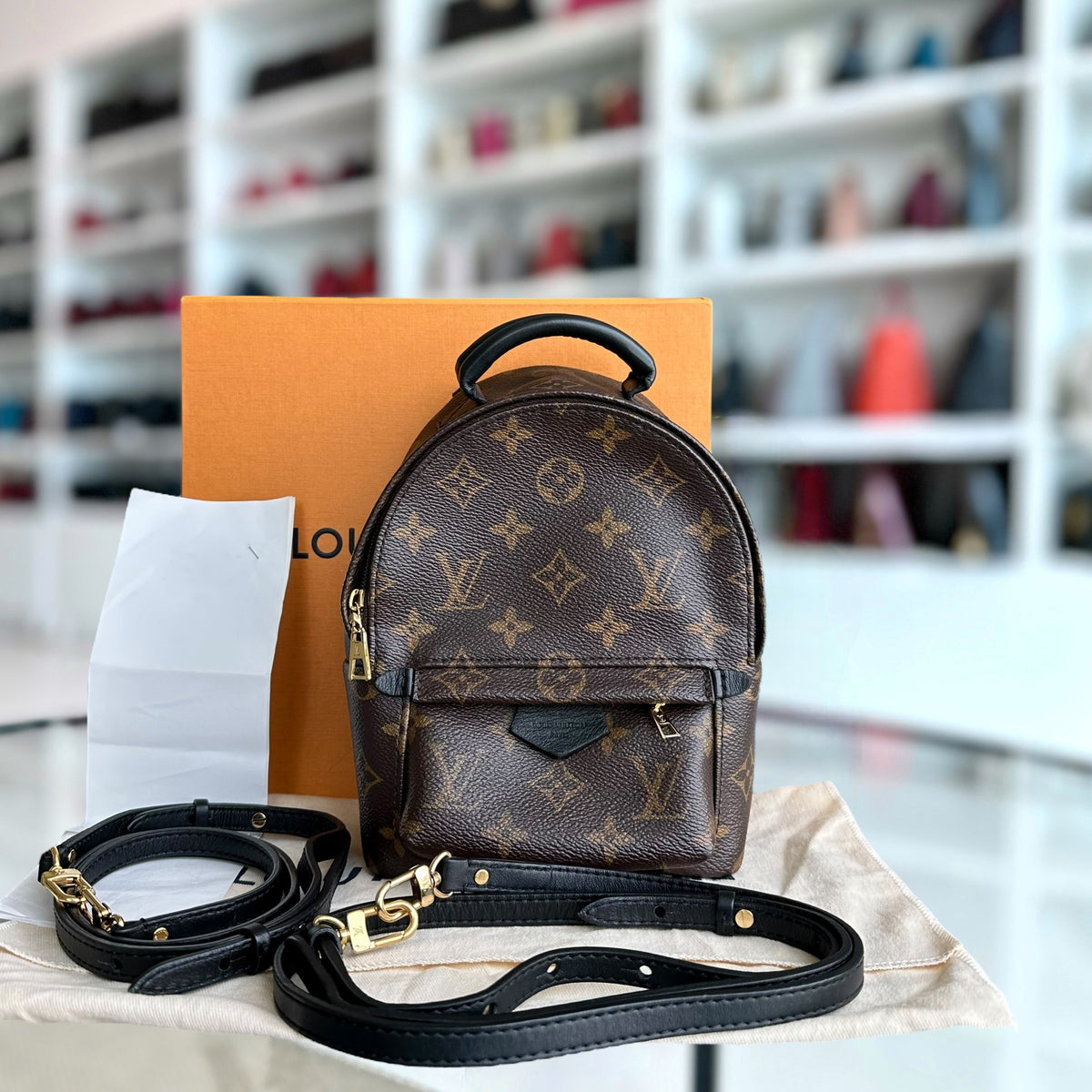 Monogram Canvas Lv Mini Palm Spring Backpack *Full Set, Receipt