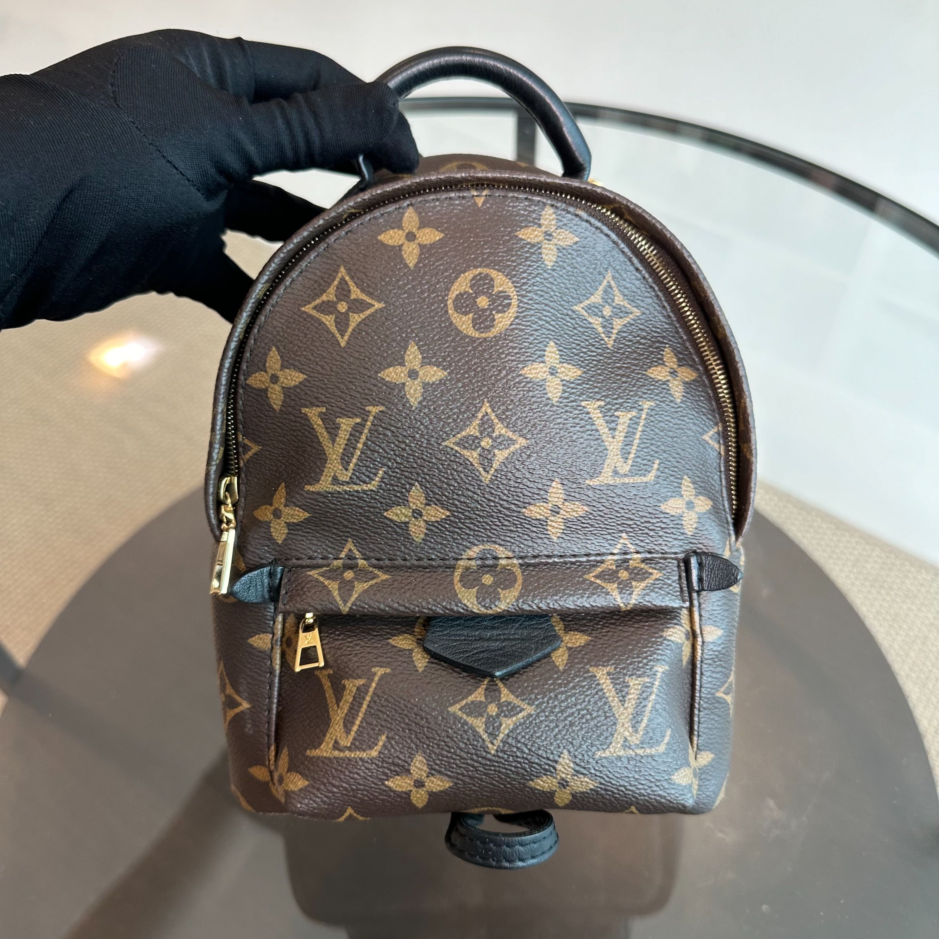 LV Louis Vuitton Palm Spring Mini Monogram Backpack - Luxury Evermore