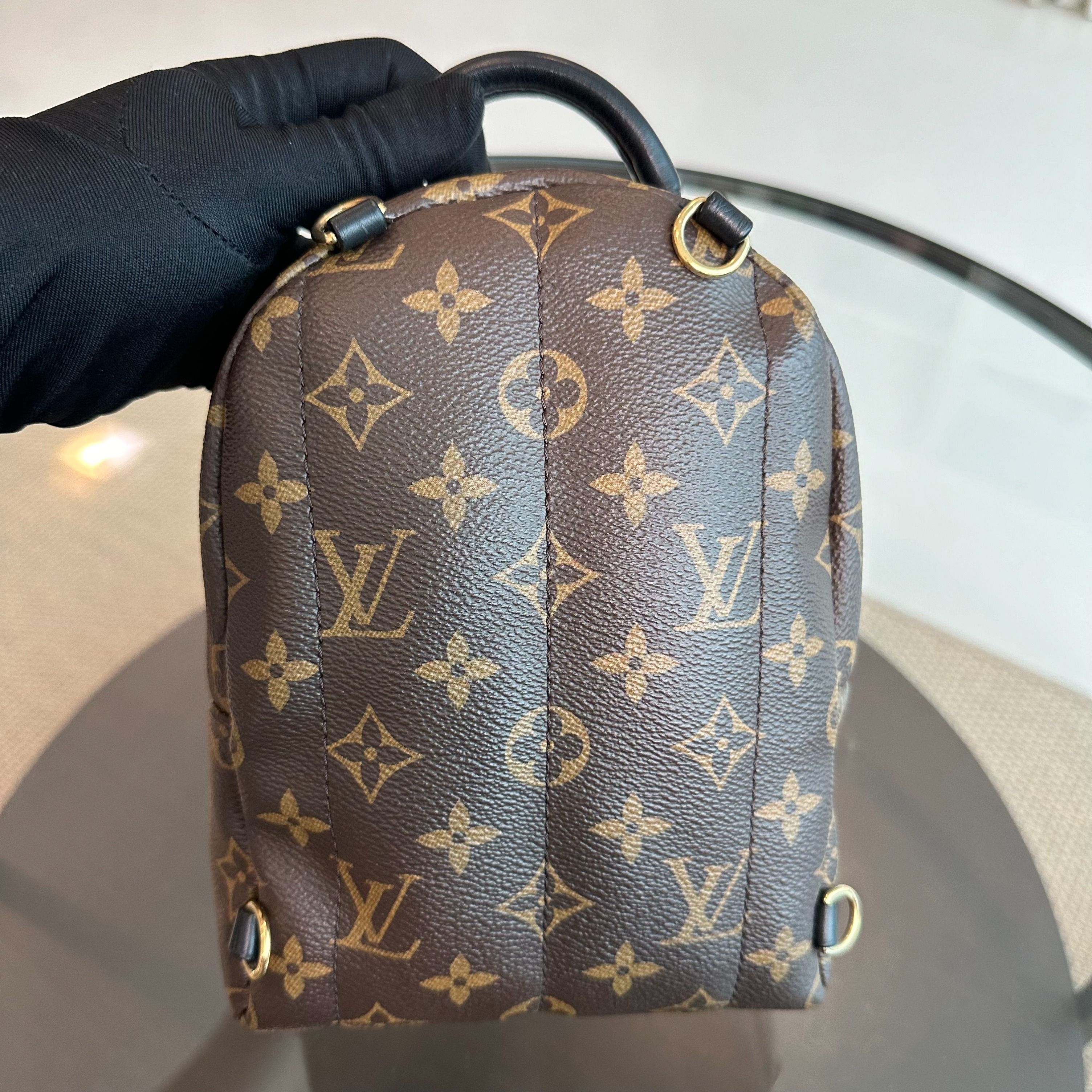 LV Louis Vuitton Palm Spring Mini Monogram Backpack - Luxury Evermore