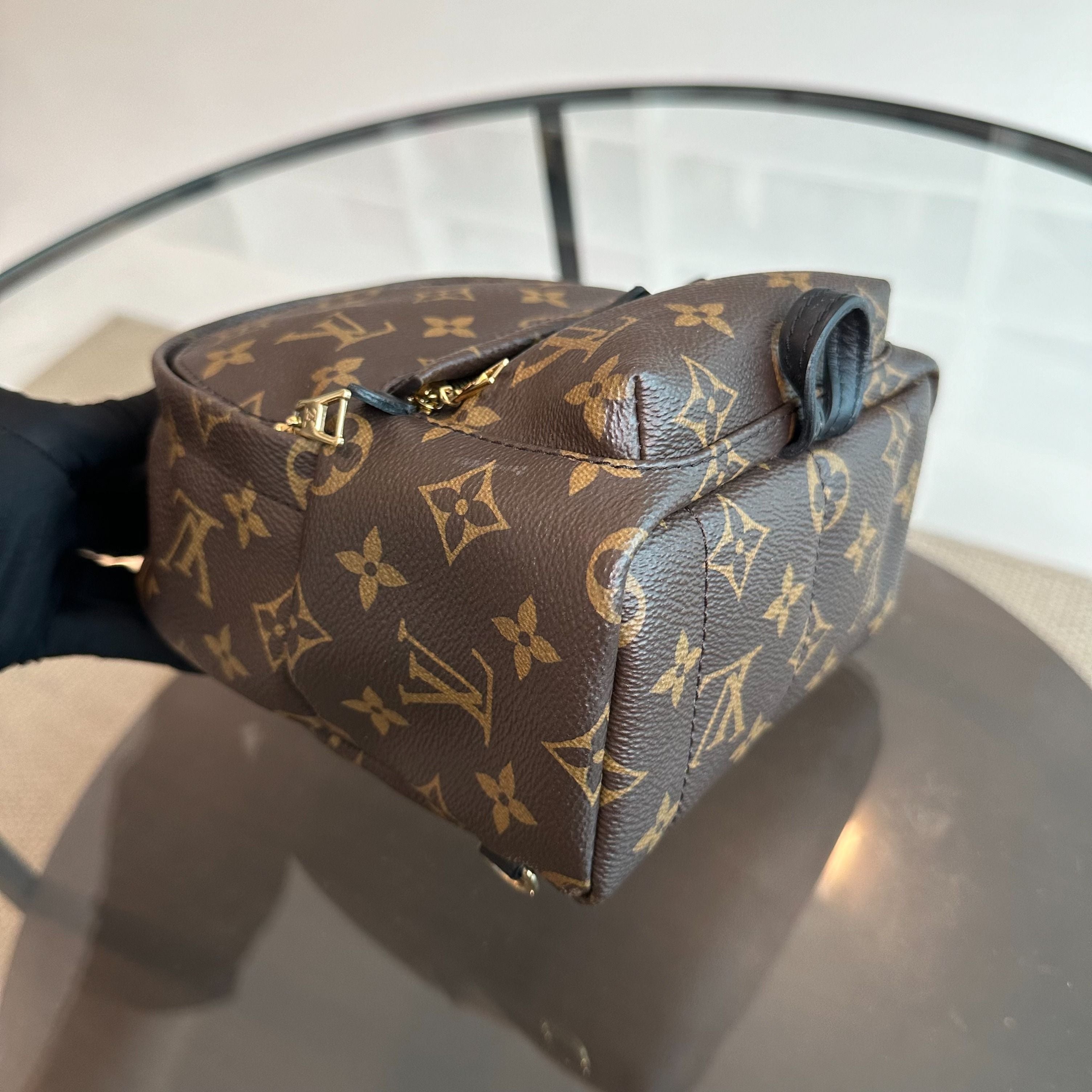 LV Louis Vuitton Palm Spring Mini Monogram Backpack - Luxury Evermore