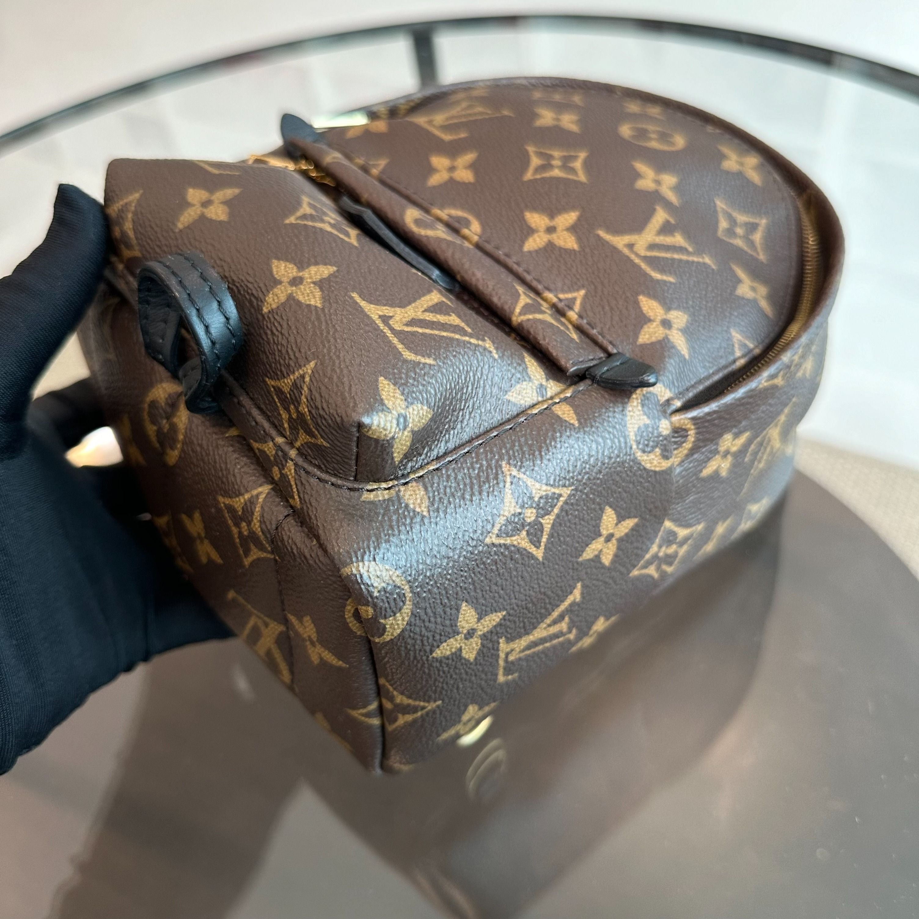 LV Louis Vuitton Palm Spring Mini Monogram Backpack - Luxury Evermore