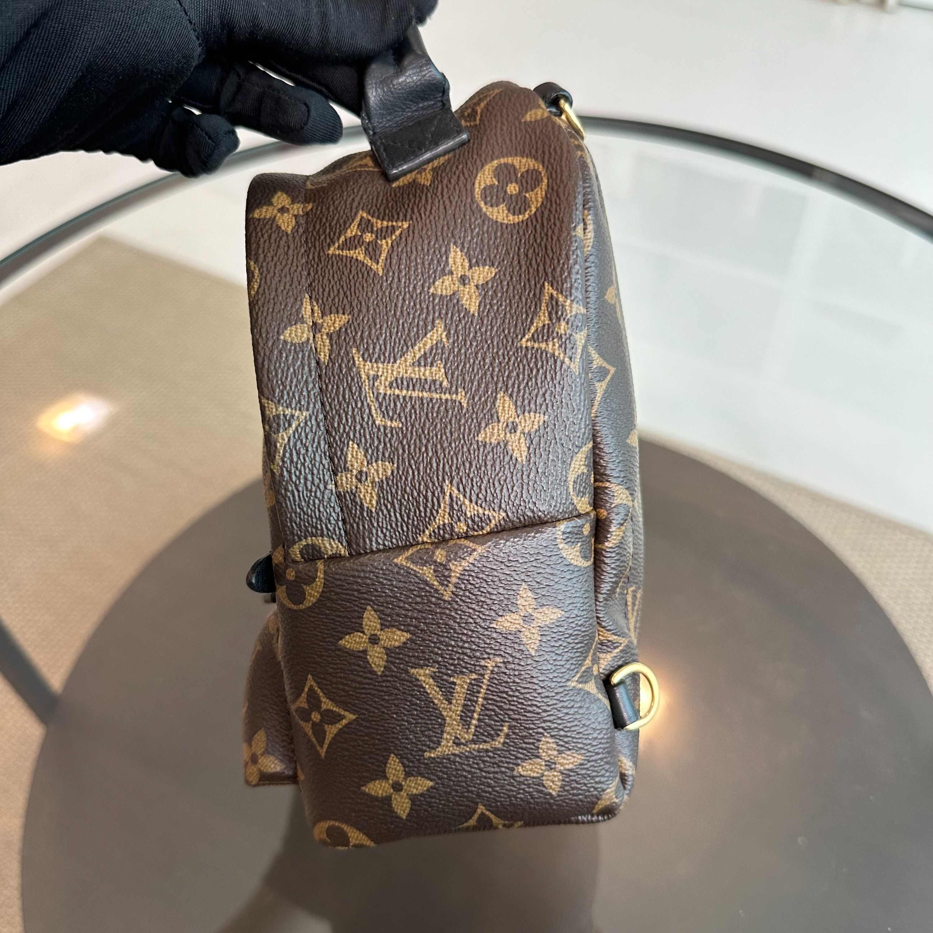 LV Louis Vuitton Palm Spring Mini Monogram Backpack - Luxury Evermore