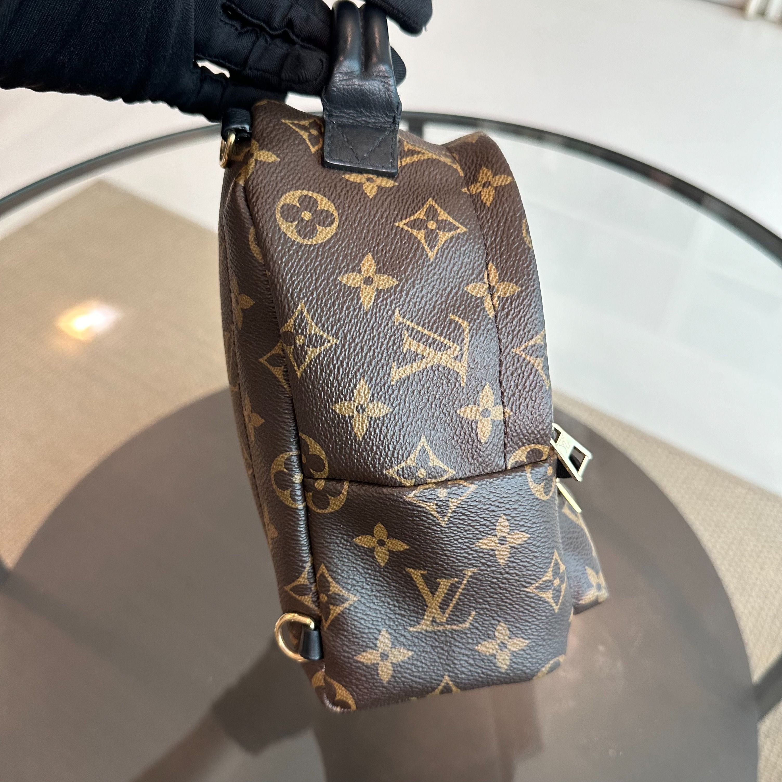 LV Louis Vuitton Palm Spring Mini Monogram Backpack - Luxury Evermore