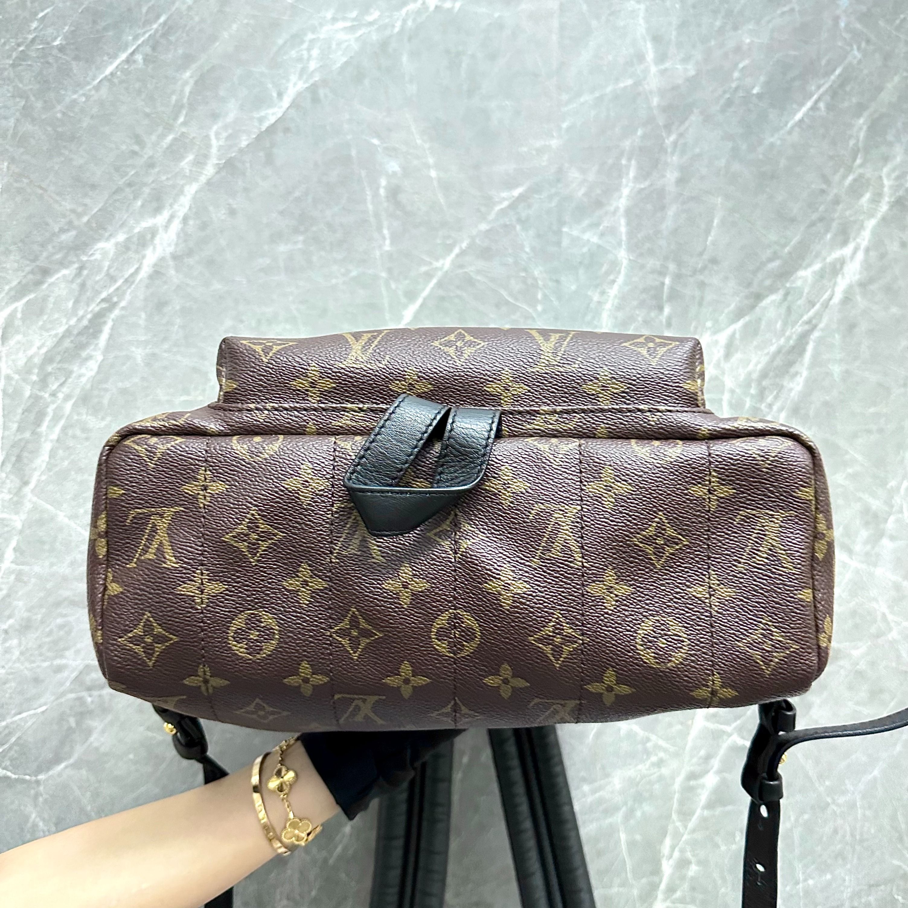 LV Monogram Palm Spring MM Backpack Louis Vuitton - Luxury Evermore