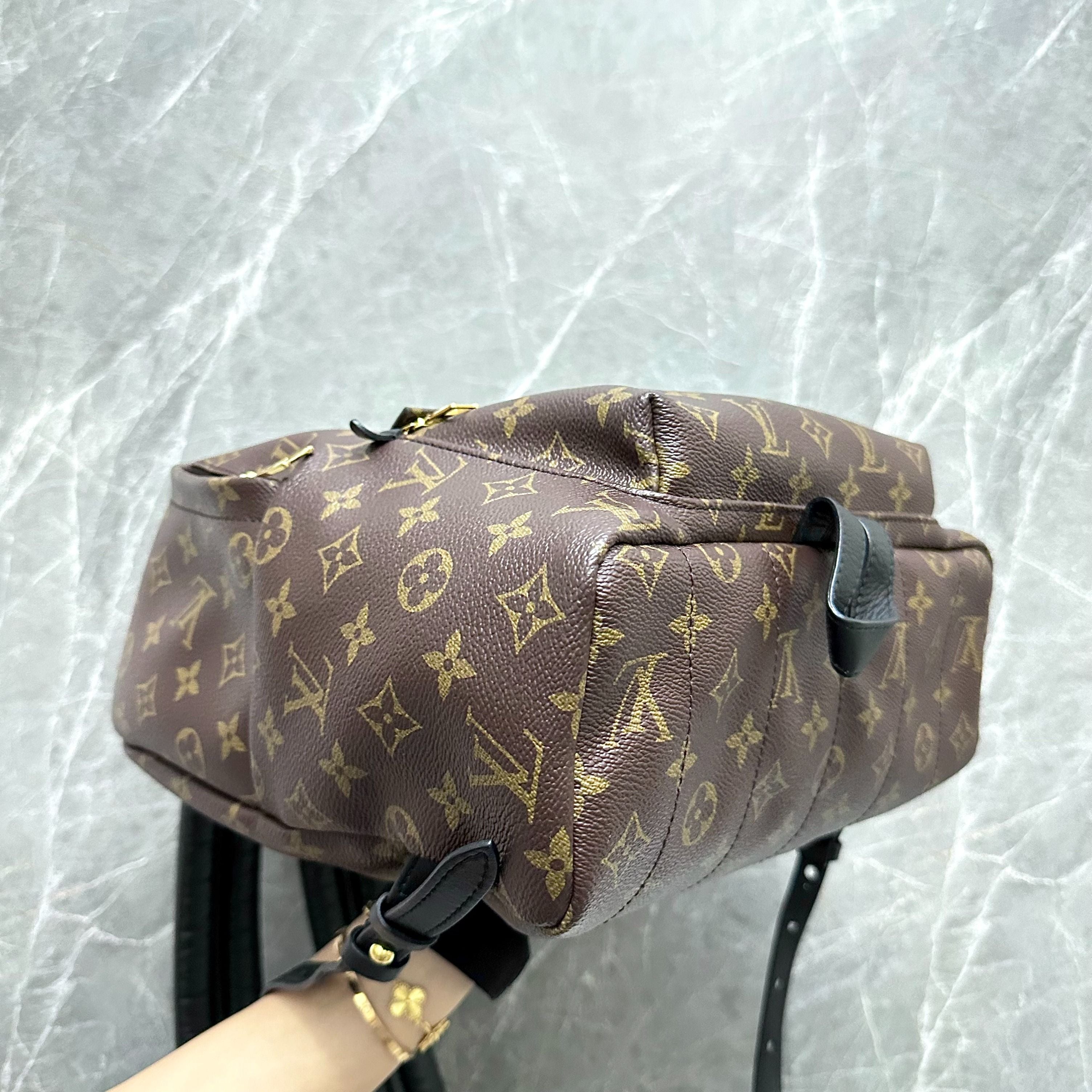 LV Monogram Palm Spring MM Backpack Louis Vuitton - Luxury Evermore