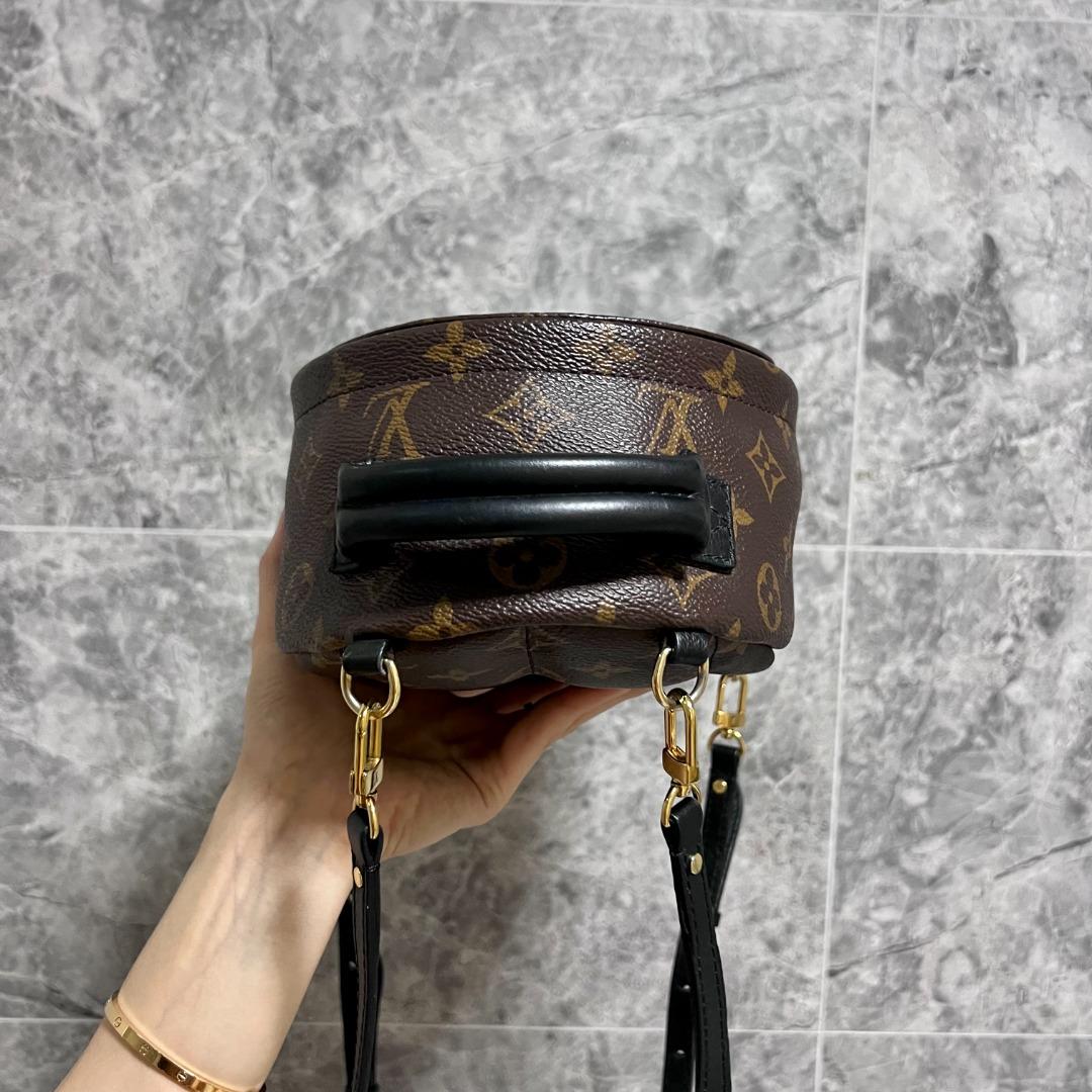 LV Palm Spring Mini Monogram Backpack - Luxury Evermore