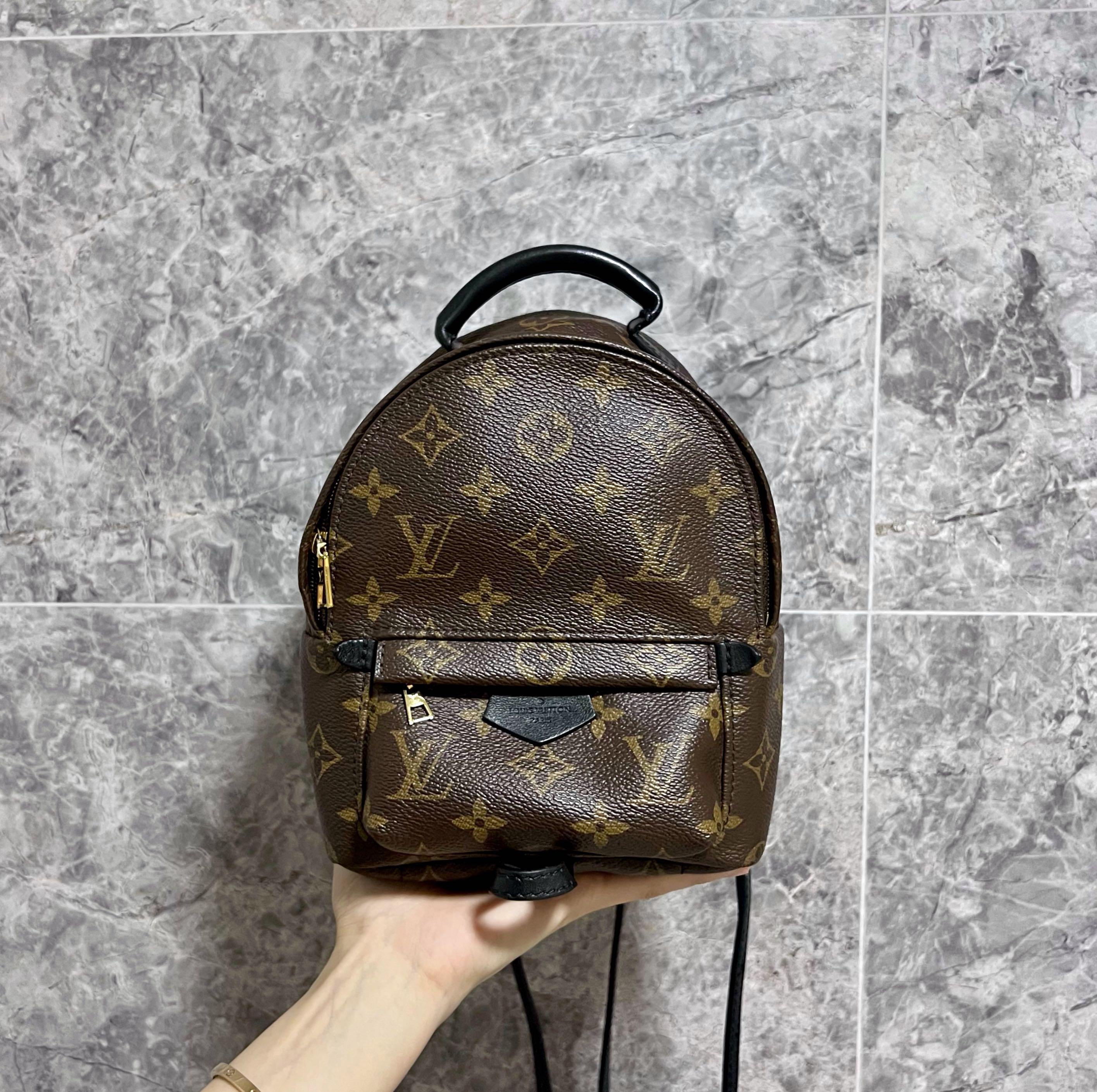 LV Palm Spring Mini Monogram - Luxury Evermore