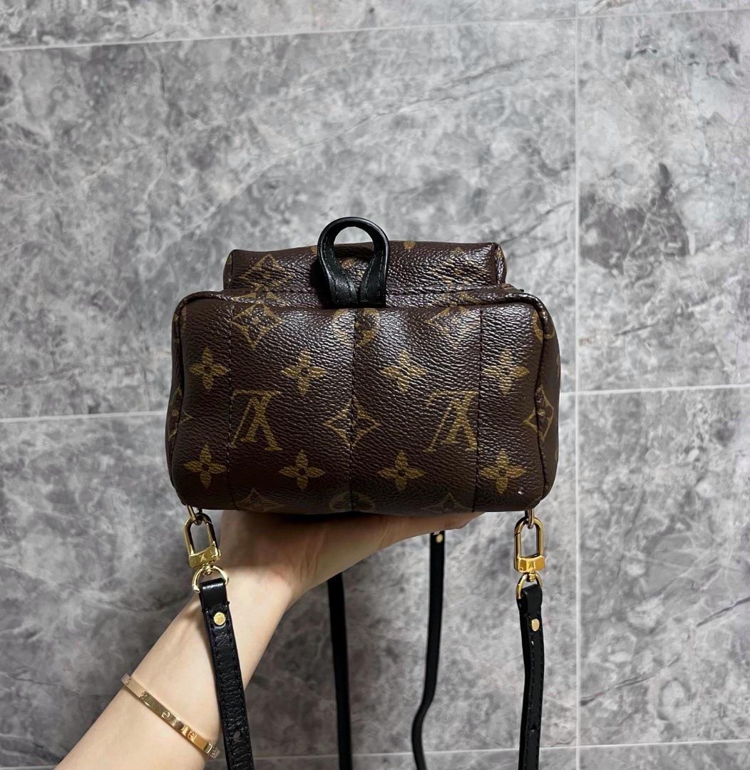 LV Palm Spring Mini Monogram - Luxury Evermore