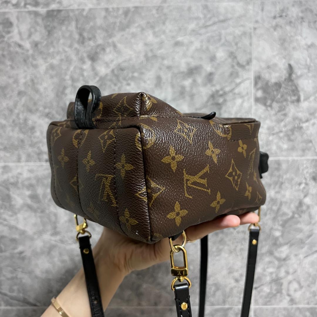 LV Palm Spring Mini Monogram - Luxury Evermore