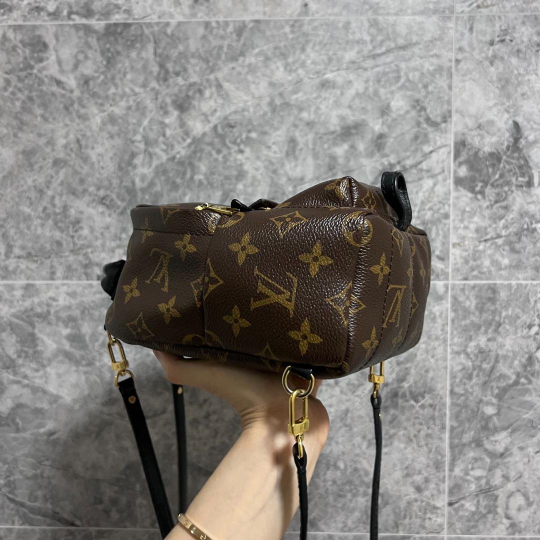 LV Palm Spring Mini Monogram - Luxury Evermore