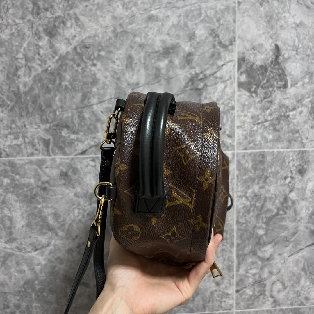 LV Palm Spring Mini Monogram - Luxury Evermore