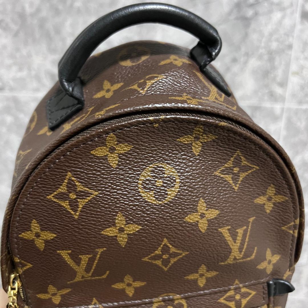 LV Palm Spring Mini Monogram - Luxury Evermore