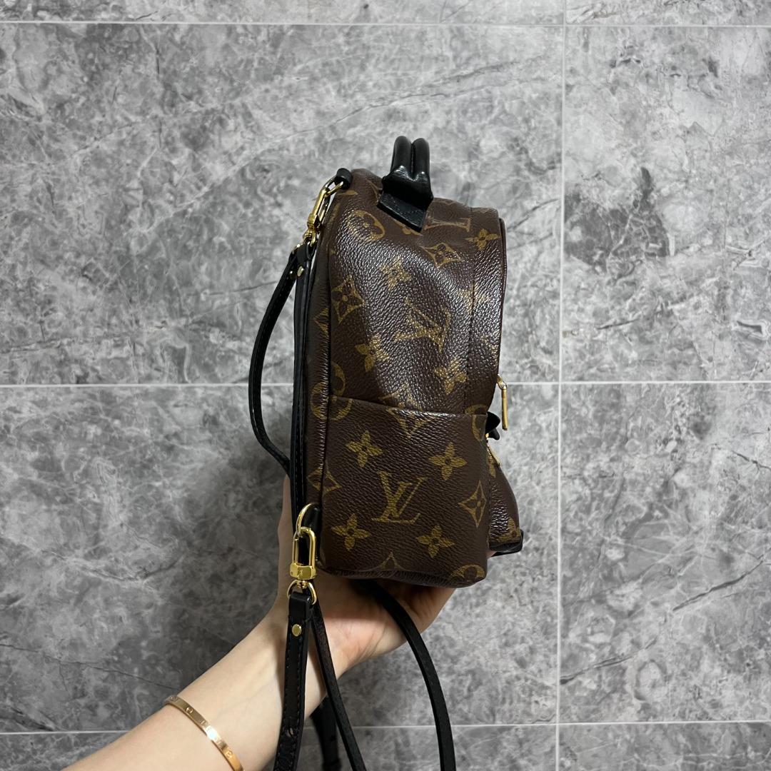 LV Palm Spring Mini Monogram - Luxury Evermore