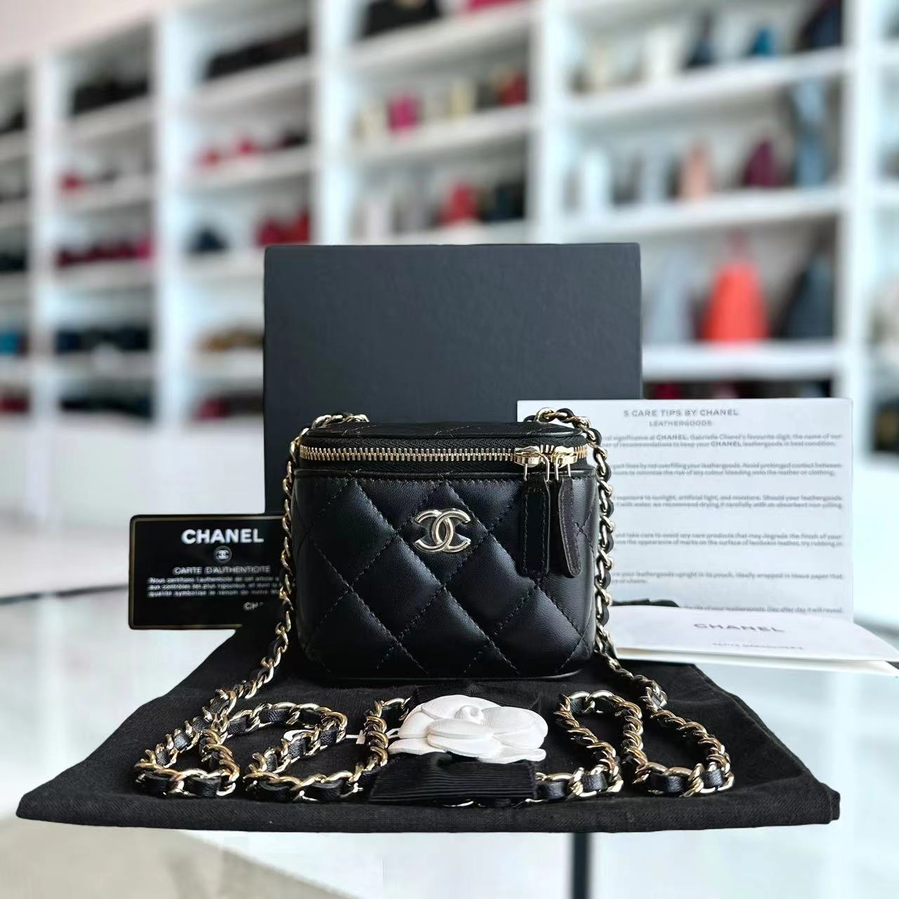 *Unused, 2021* Chanel Vanity Mini Quilted Lambskin Light Golden Hardware Series 31 - Luxury Evermore